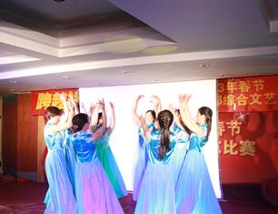 跨越祥和，超越自我—2013春節(jié)聯(lián)歡--財務(wù)處